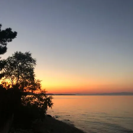 ελιά In Ktima Gerostathi Villa