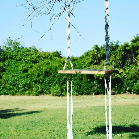 ελιά In Ktima Gerostathi Villa *