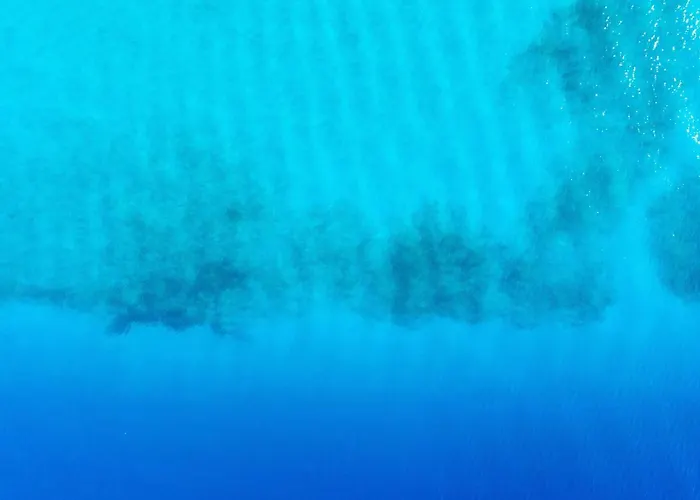 ελιά In Ktima Gerostathi