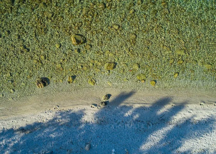 ελιά In Ktima Gerostathi Villa *