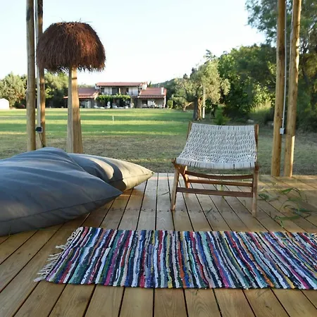 ελιά In Ktima Gerostathi * Полихроно