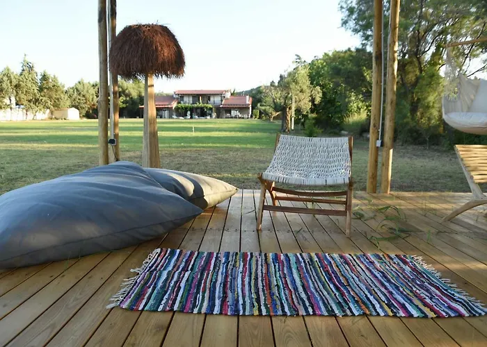 ελιά In Ktima Gerostathi * Полихроно