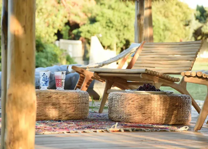 ελιά In Ktima Gerostathi * Полихроно